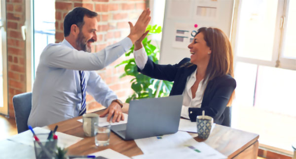 Consulting Services