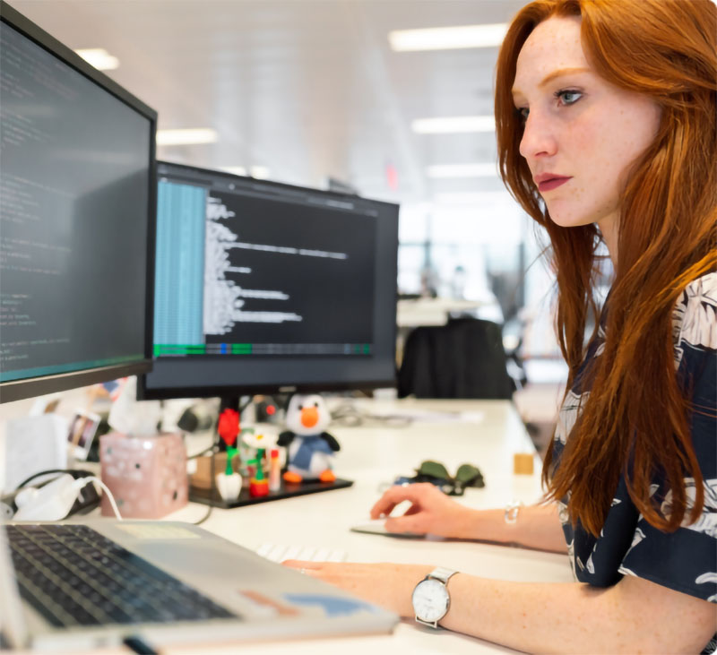 Program Project Management and Procurement